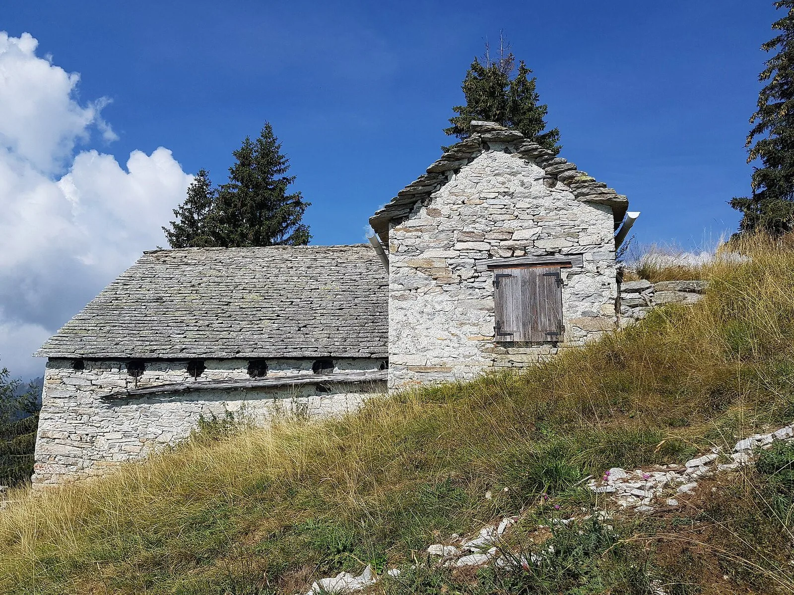 Baita in pietra con tetto in lose all'alpeggio della Colma di Toceno, tra prati d'alta quota e abeti